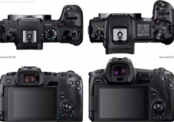 03-Canon-EOS-R-Compared-to-EOS-RP