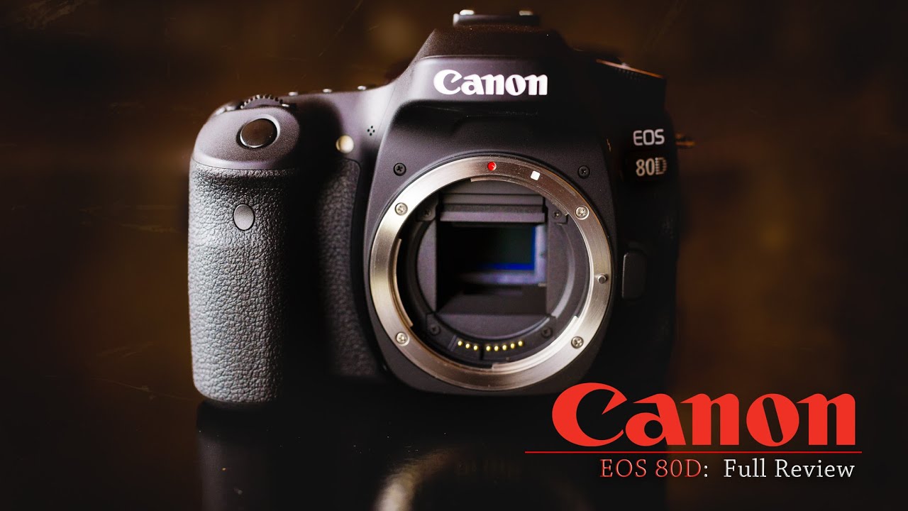 streaming with canon 80d