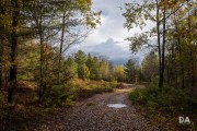 EOS-R5-Samples-49