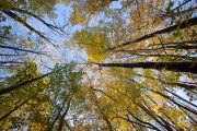 EOS-R5-Samples-65