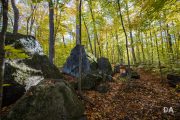 EOS-R5-Samples-67