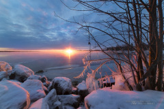 Home Page Gallery