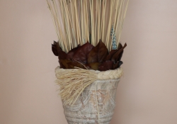 Plant Crops-3.jpg