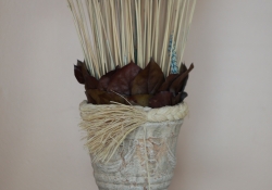 Plant Crops-4.jpg