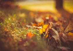 Helios Samples-26.jpg