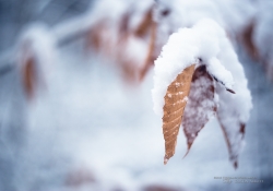Helios Samples-30.jpg