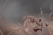 44-Gallery-3-of-15
