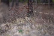 44-Gallery-4-of-15