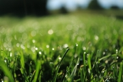 Golf Samples-2