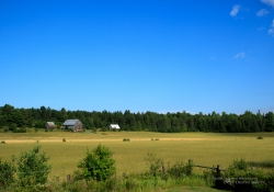 In the Country-2