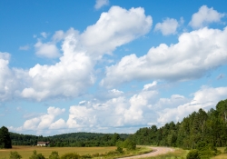 In the Country-4