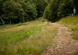 Tremblant Samples-35