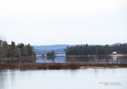 Focal Range-2