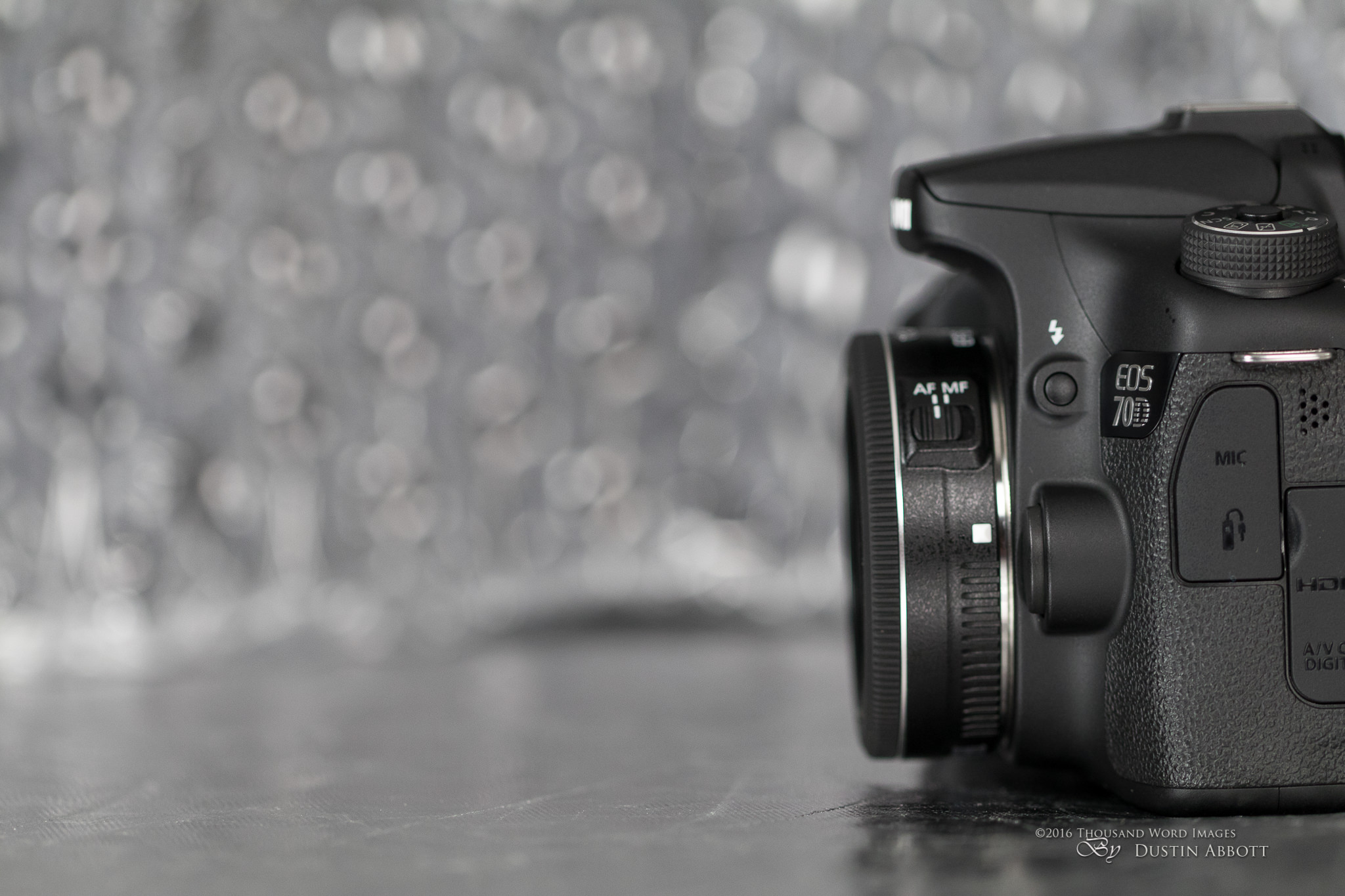 Canon EF-S 24mm f/ STM Lens Review 