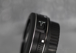 More Product-4