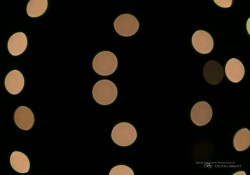 Bokeh