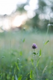 5DsR Images Round 1-11