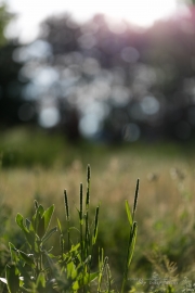 5DsR Images Round 1-8