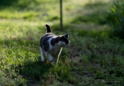 5DsR Images Round 1-6