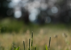 5DsR Images Round 1-8