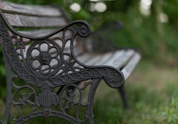 5DsR Images Round 1-9