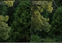 Noise Reduction Comparo
