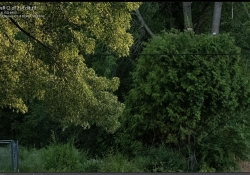 Noise Reduction