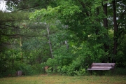 Laowa Scenics-7