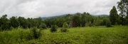 Tremblant Samples-32