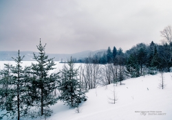 Winter's Kiss Winter's Kiss