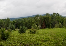 Tremblant Samples-32