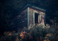 The Shack The Shack