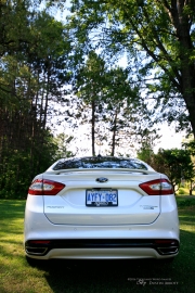 New Fusion-11