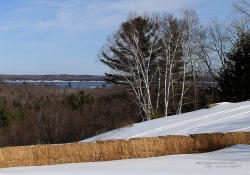 F4 Sharpness Crops-3