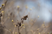 Full Frame Samples-3