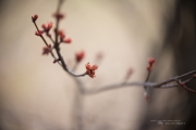 Full Frame Samples-4