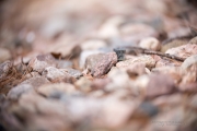 Full Frame Samples-5