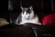 Full Frame Samples-6