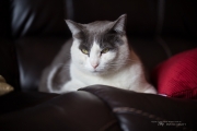 Full Frame Samples-7
