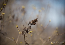 Full Frame Samples-2