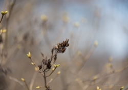 Full Frame Samples-3
