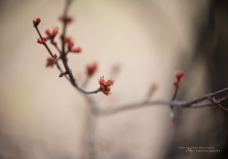 Full Frame Samples-4