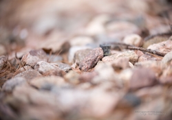 Full Frame Samples-5