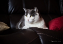 Full Frame Samples-6