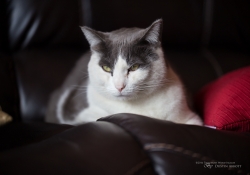 Full Frame Samples-7