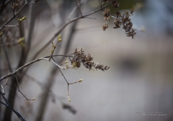 Full Frame Samples