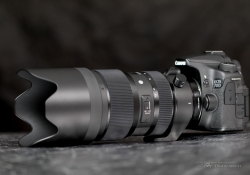 Sigma 50-100mm ART-10