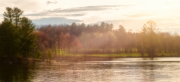 Landscapes-5
