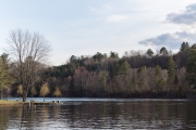 Landscapes-6