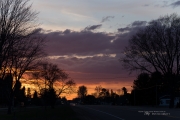 Landscapes-7